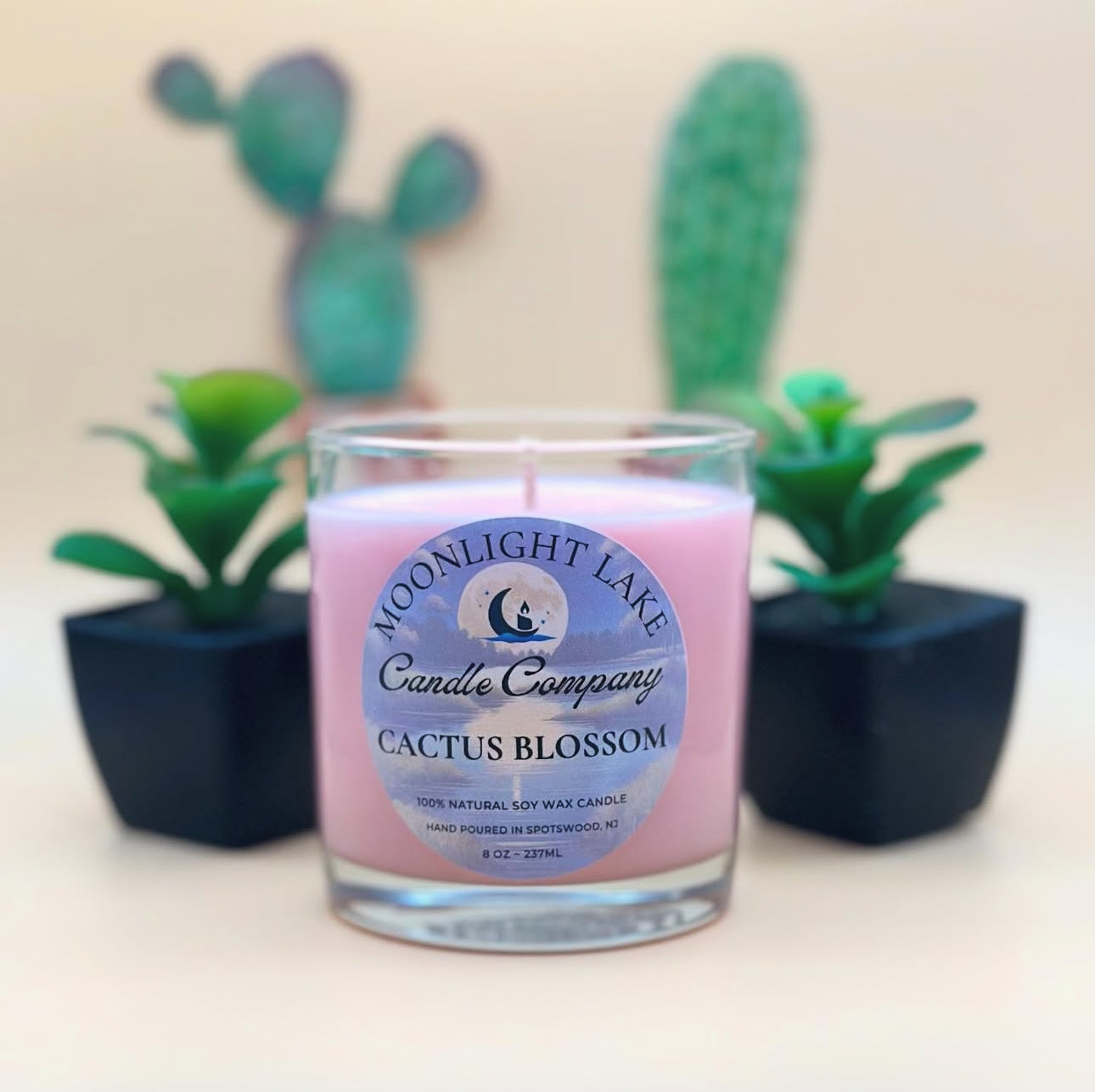 Cactus Blossom