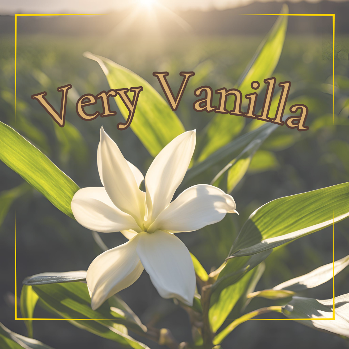 Very Vanilla