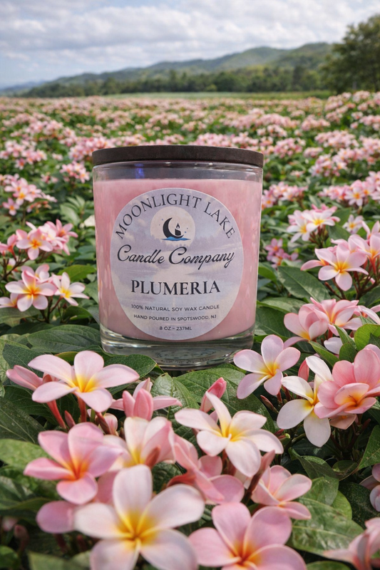 Plumeria