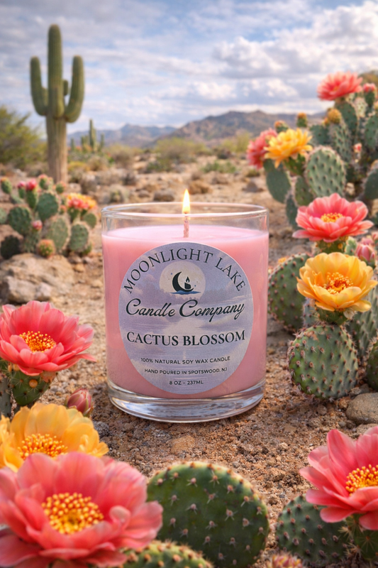 Cactus Blossom